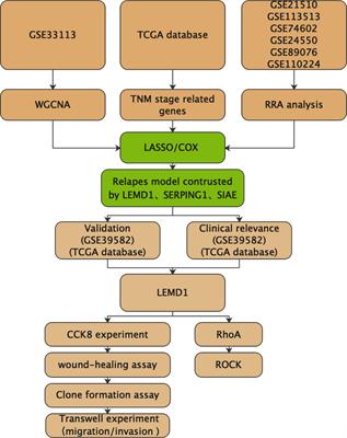 A Three-Genes Signature Predicting Colorectal Cancer Relapse Reveals LEMD1 Promoting CRC Cells Migration by RhoA/ROCK1 Signaling Pathway